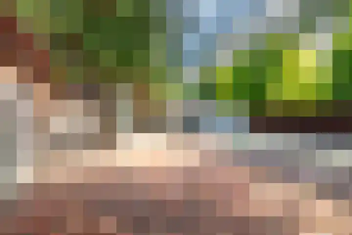 Valkenlaan 19 Oostvoorne thumbnail 47