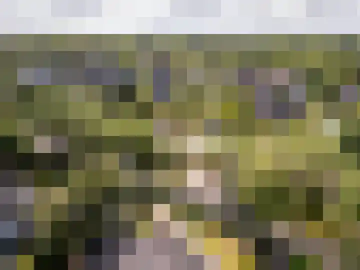 Valkenlaan 19 Oostvoorne thumbnail 5