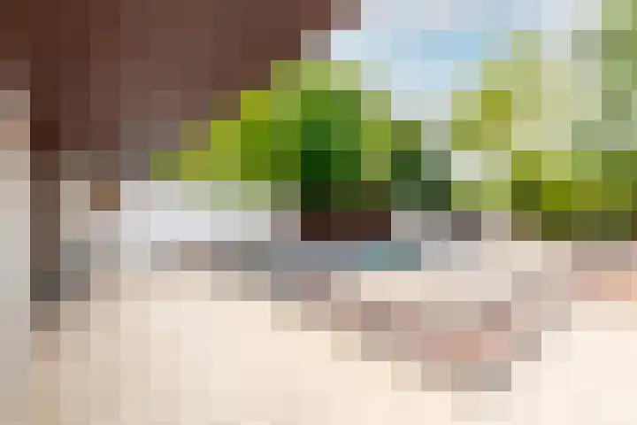 Valkenlaan 19 Oostvoorne thumbnail 53