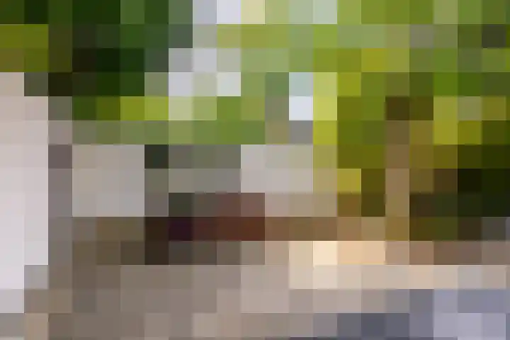 Valkenlaan 19 Oostvoorne thumbnail 54