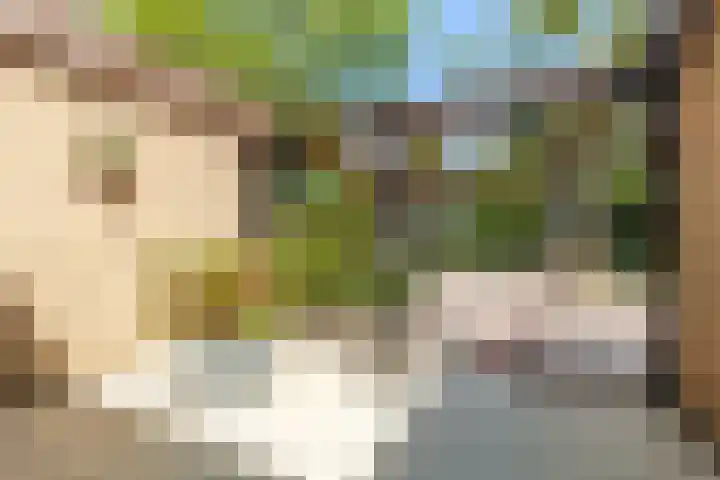 Valkenlaan 19 Oostvoorne thumbnail 8
