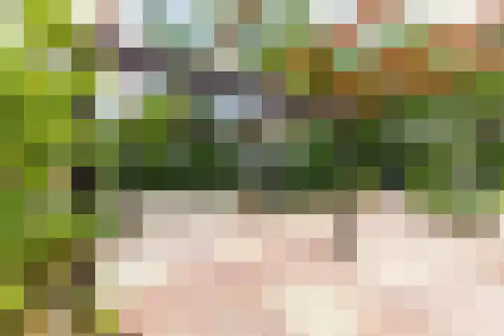 Valkenlaan 19 Oostvoorne thumbnail 9