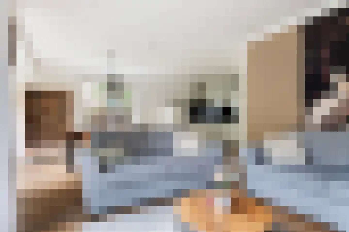 Valkenlaan 20 Sibculo thumbnail 14