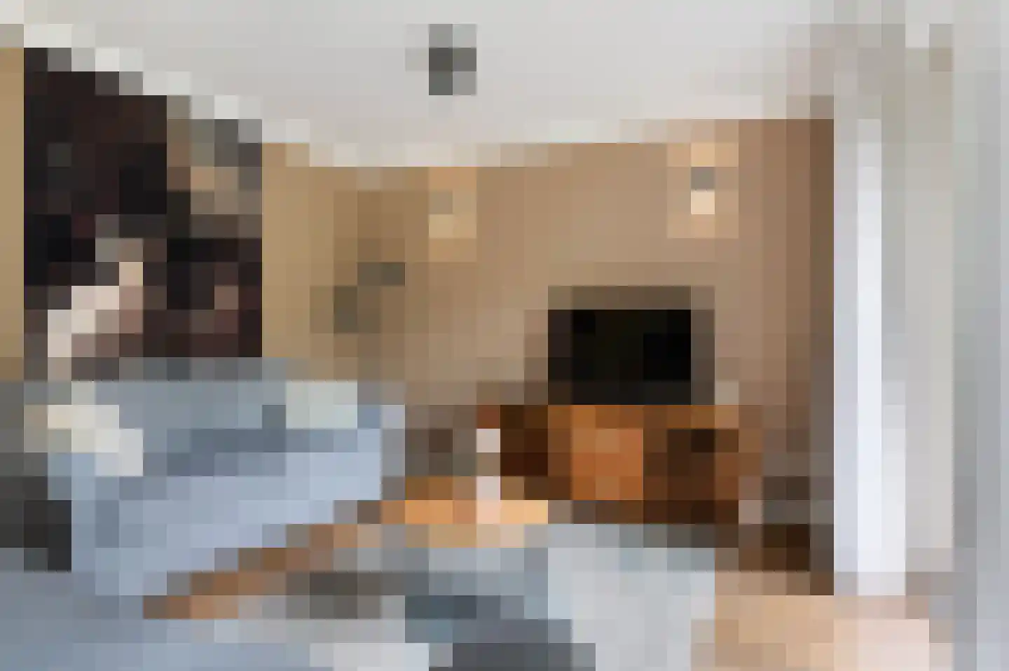 Valkenlaan 20 Sibculo thumbnail 15