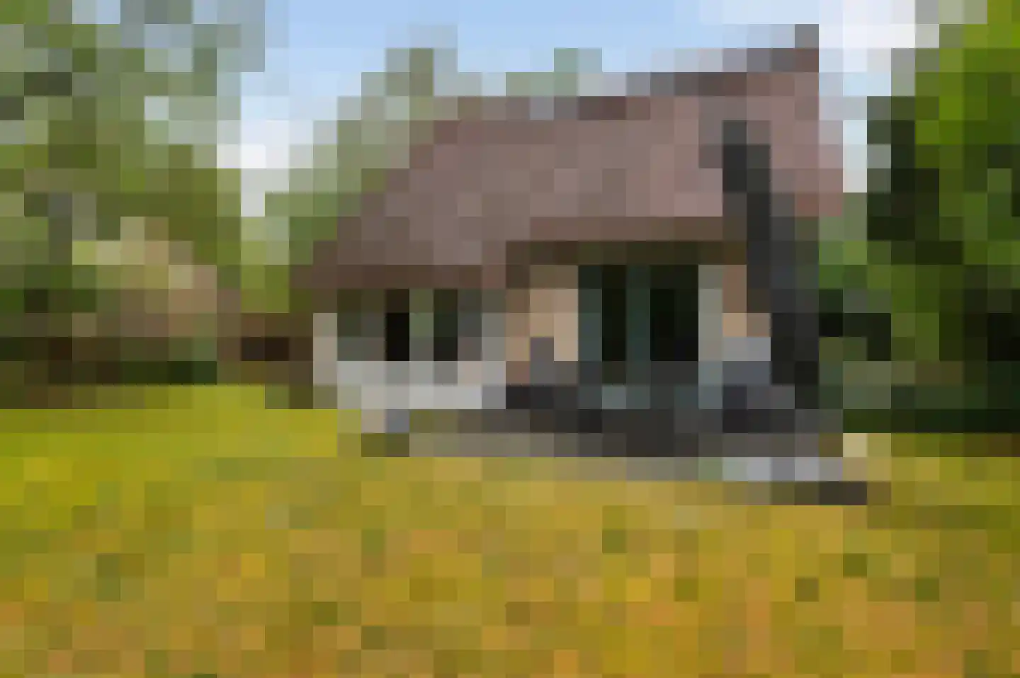 Valkenlaan 20 Sibculo thumbnail 19