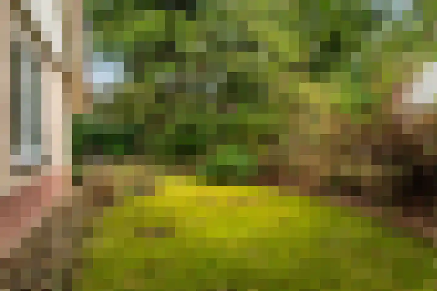 Valkenlaan 20 Sibculo thumbnail 20