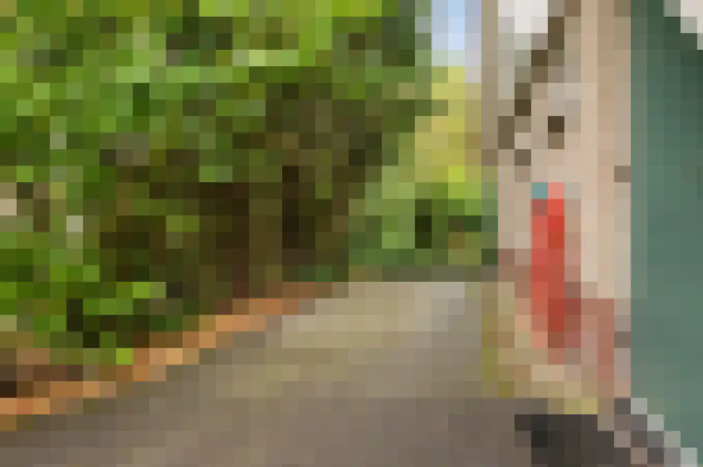 Valkenlaan 20 Sibculo thumbnail 26