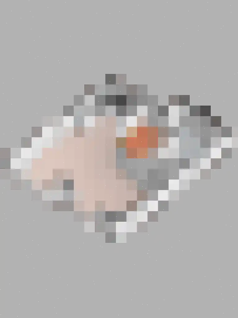 Valkenlaan 20 Sibculo thumbnail 30