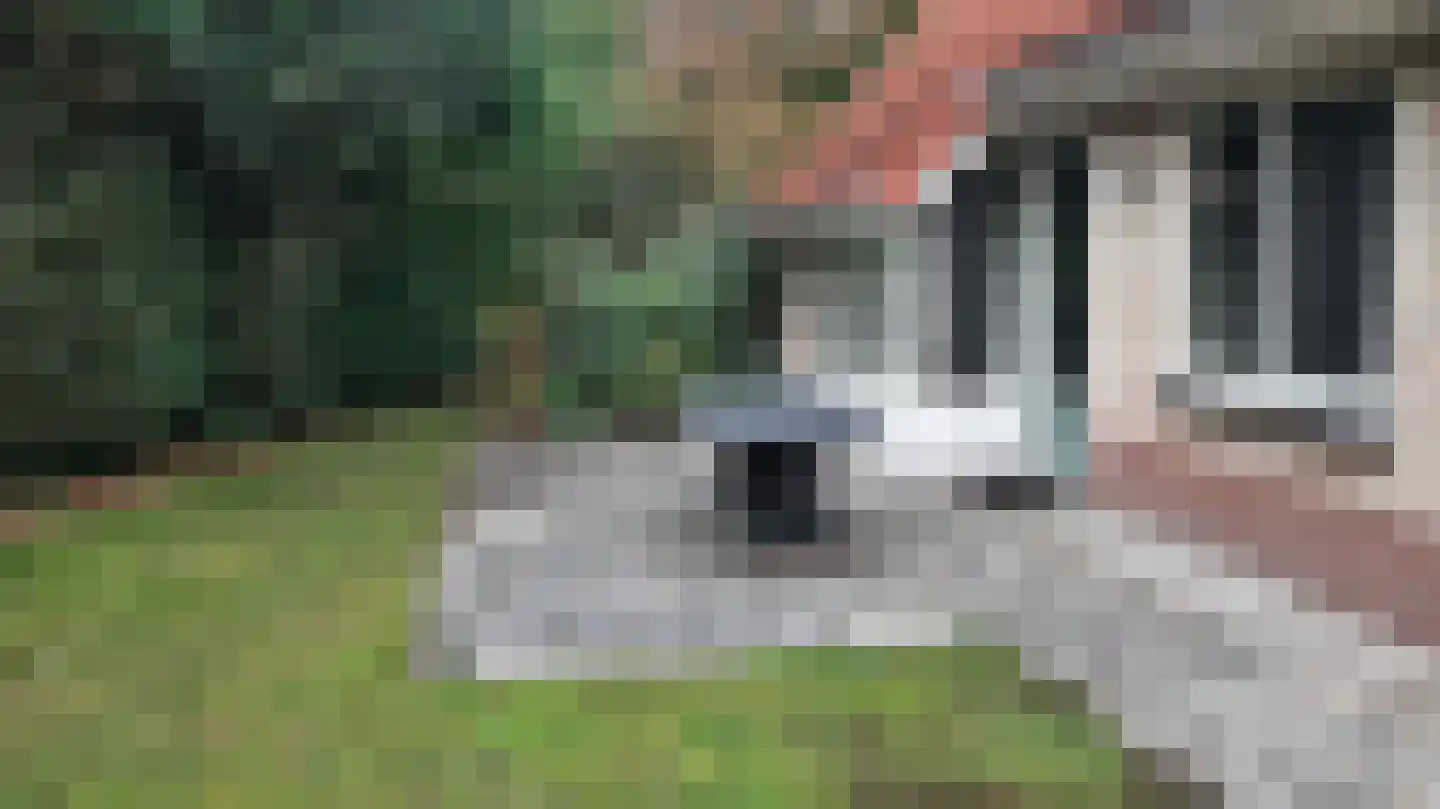 Valkenlaan 22 Sibculo thumbnail 4