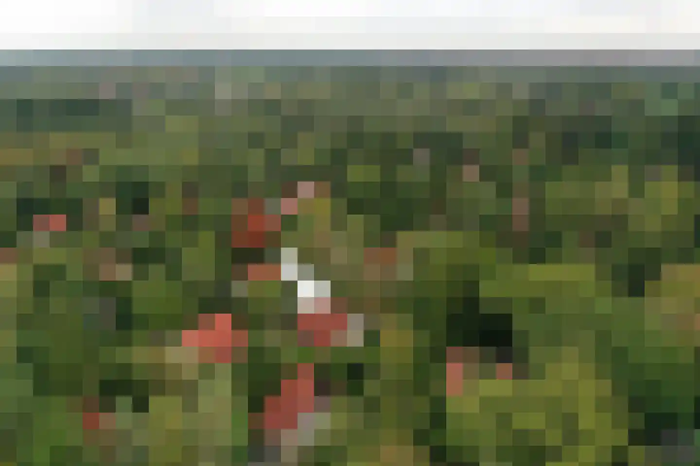 Valkenlaan 25 Sibculo thumbnail 32