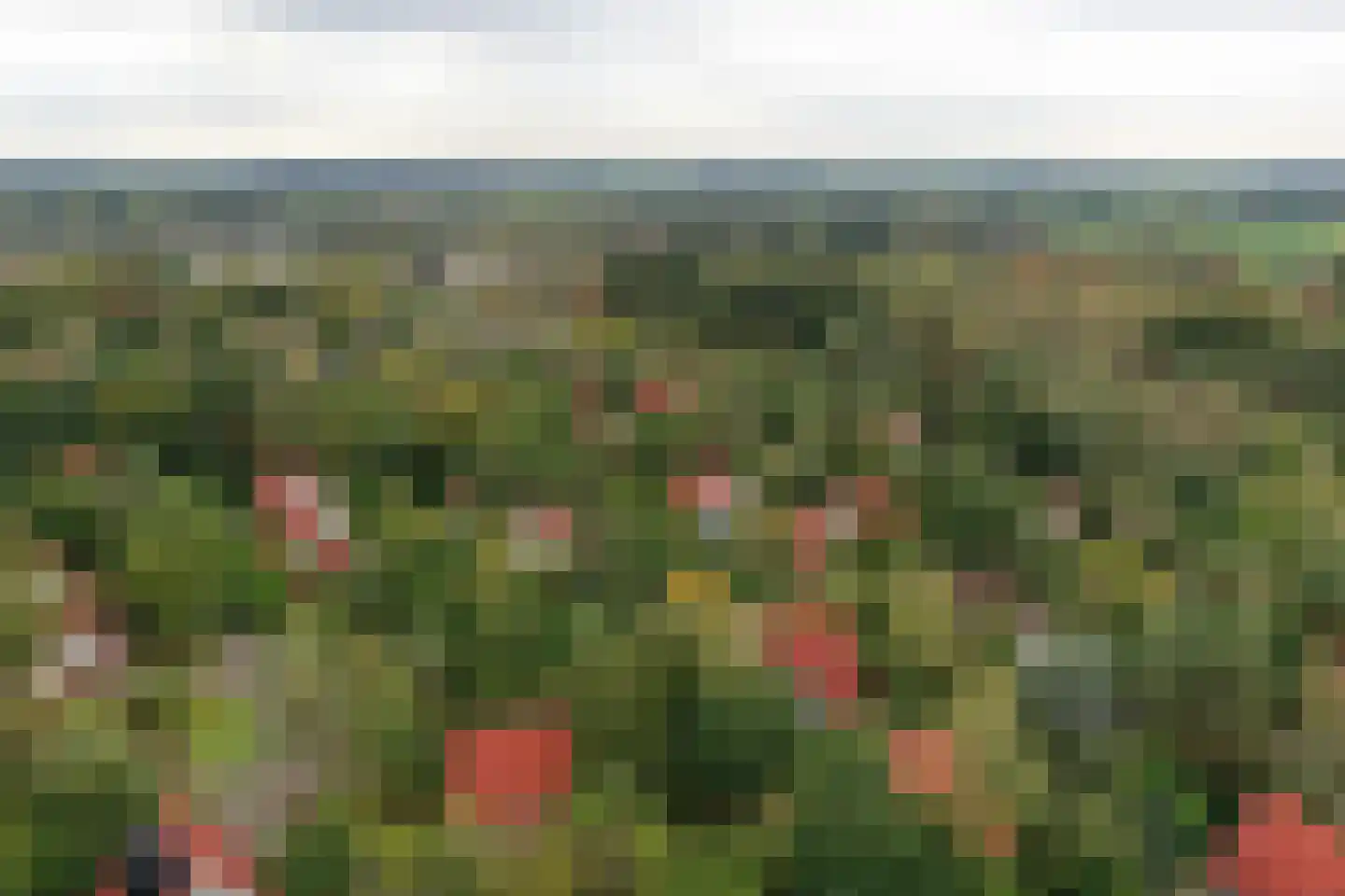 Valkenlaan 25 Sibculo thumbnail 33