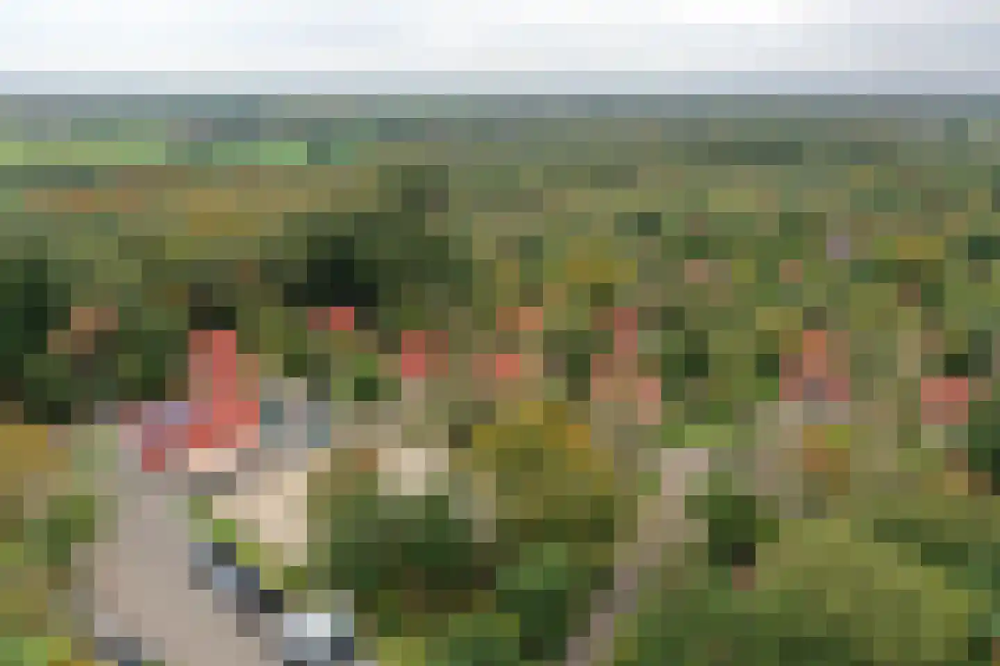 Valkenlaan 25 Sibculo thumbnail 35