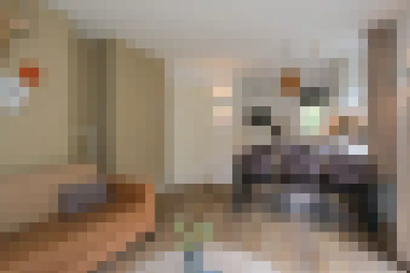 Valkenlaan 25 Sibculo thumbnail 7