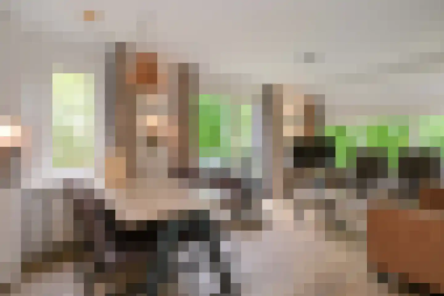 Valkenlaan 25 Sibculo thumbnail 9