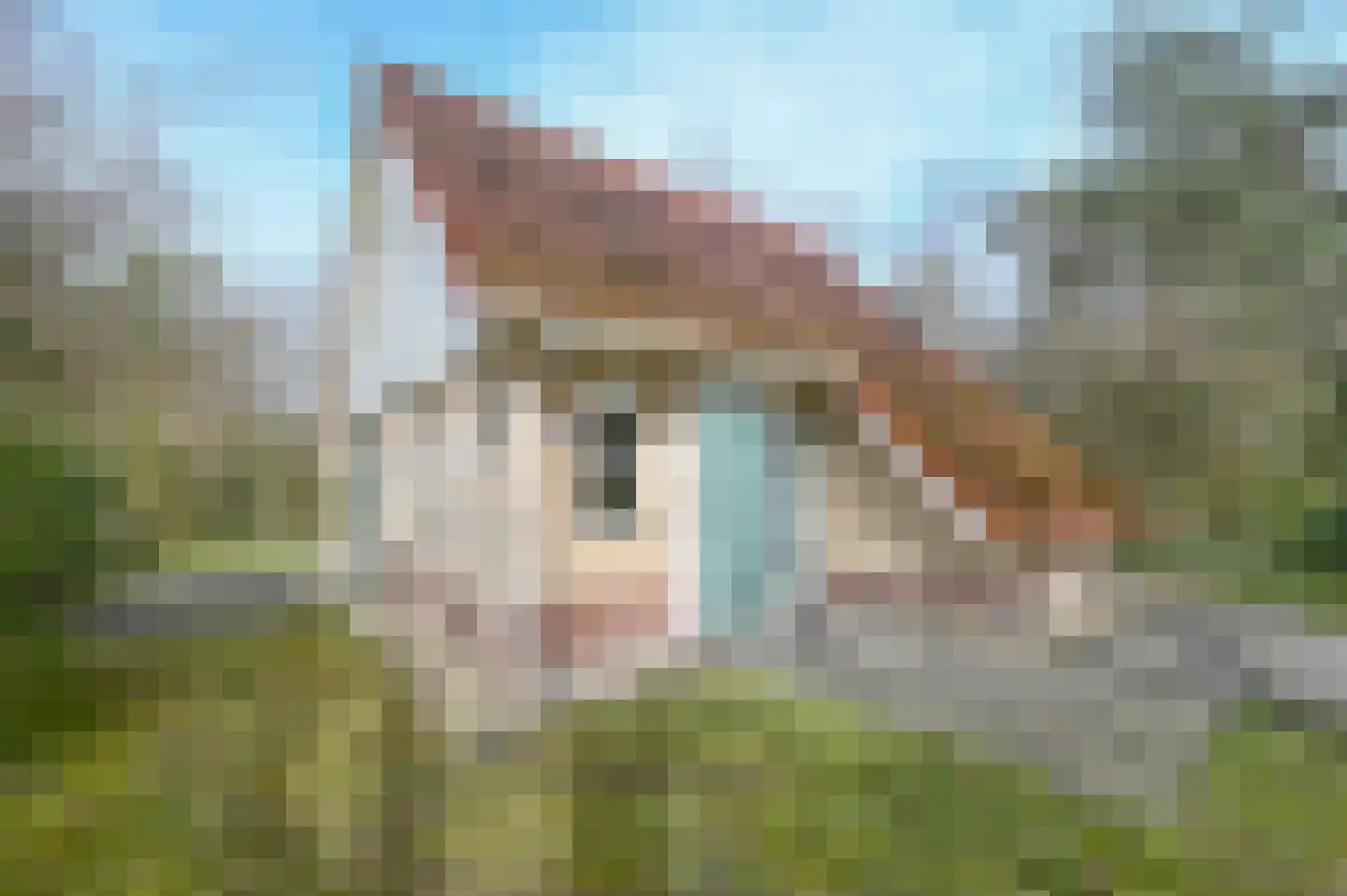 Valkenlaan 26 126A Sibculo