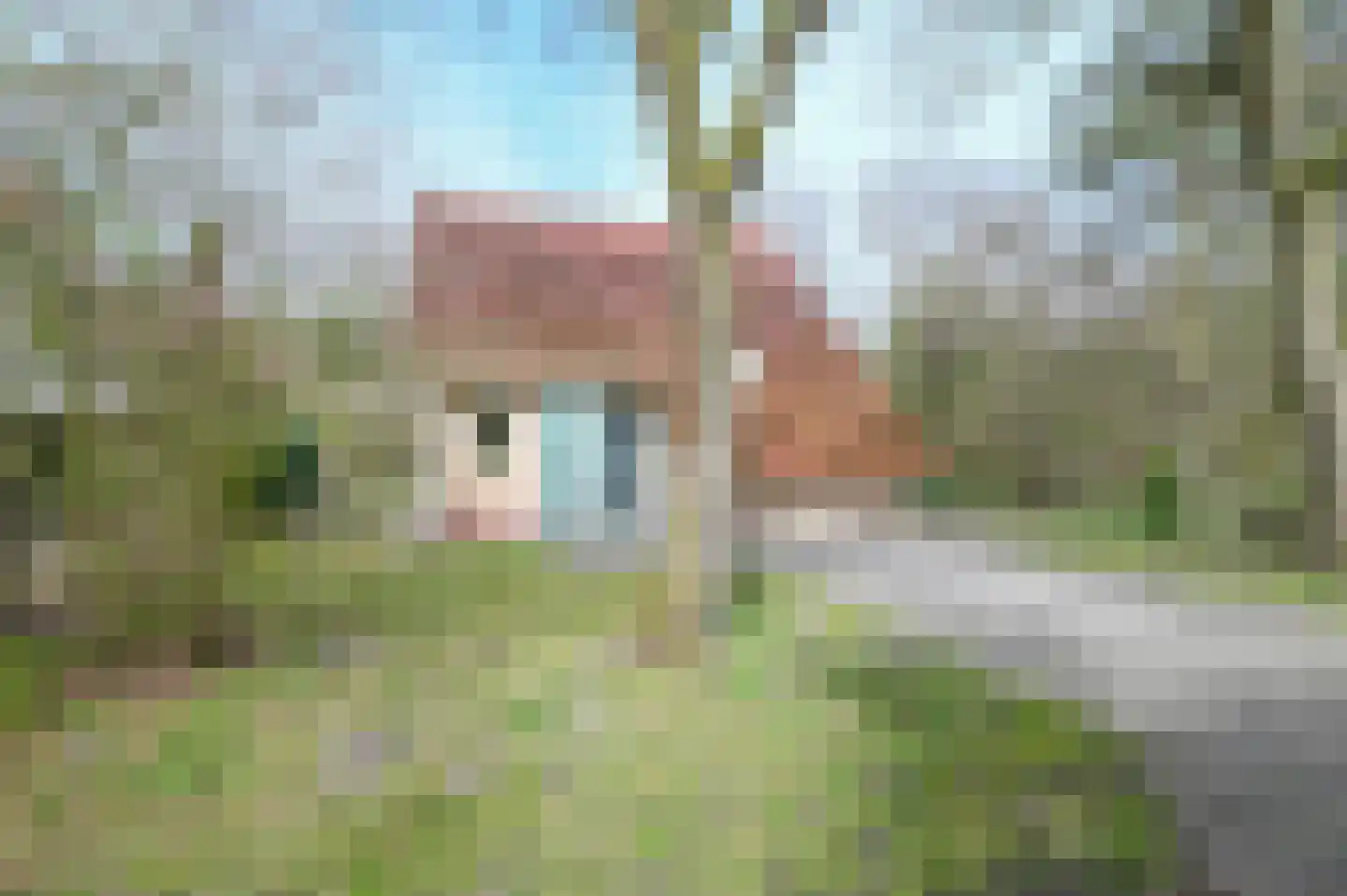 Valkenlaan 26 A126A Sibculo thumbnail 26