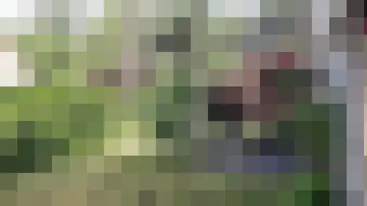 Valkenlaan 28 Sibculo thumbnail 4