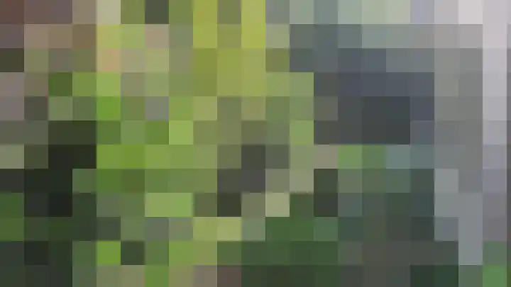 Valkenlaan 28 Sibculo thumbnail 6