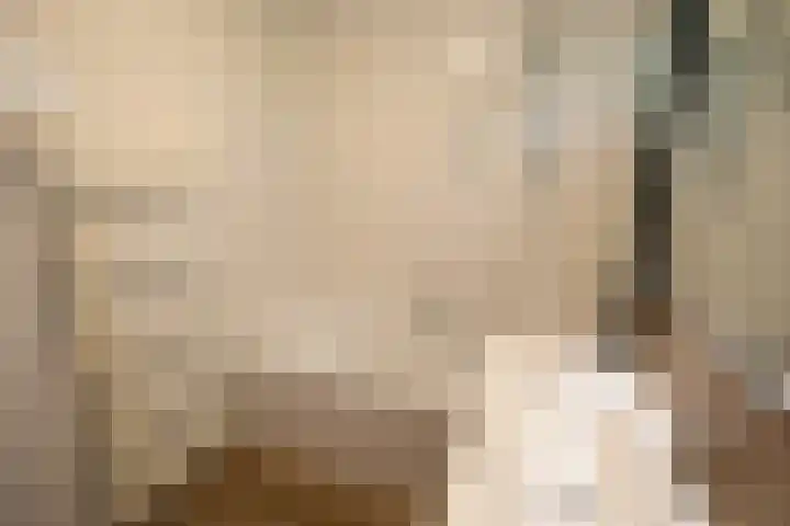 Valkenlaan 3 Sibculo thumbnail 14