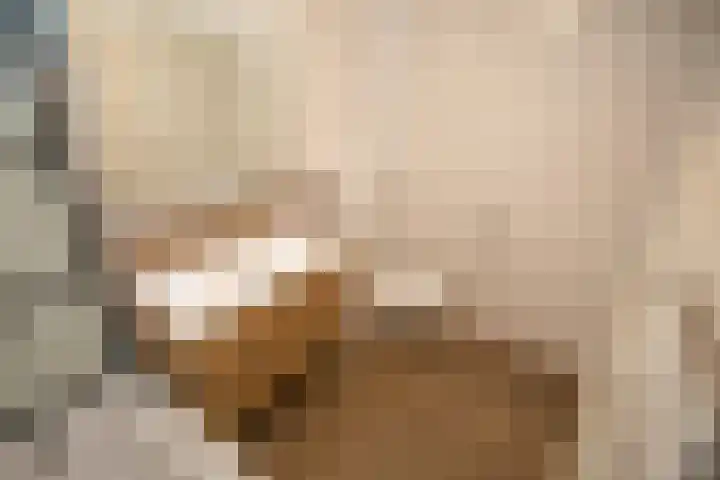 Valkenlaan 3 Sibculo thumbnail 16