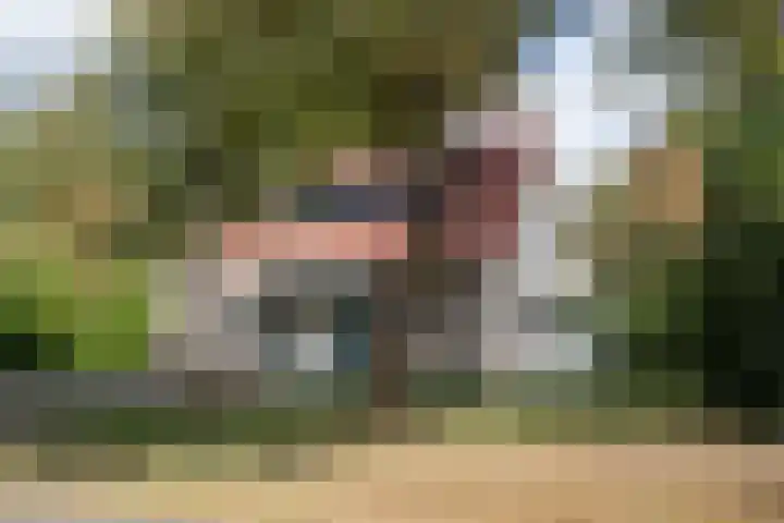 Valkenlaan 3 Sibculo thumbnail 39