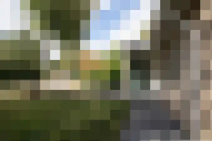 Valkenlaan 3 Sibculo thumbnail 4