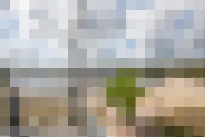 Valkenlaan 3 Sibculo thumbnail 47