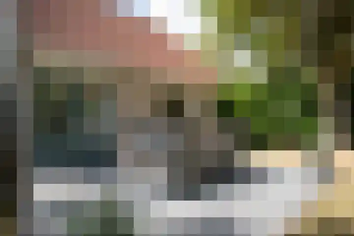 Valkenlaan 3 Sibculo thumbnail 6