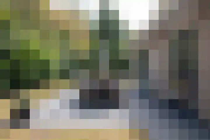 Valkenlaan 3 Sibculo thumbnail 8