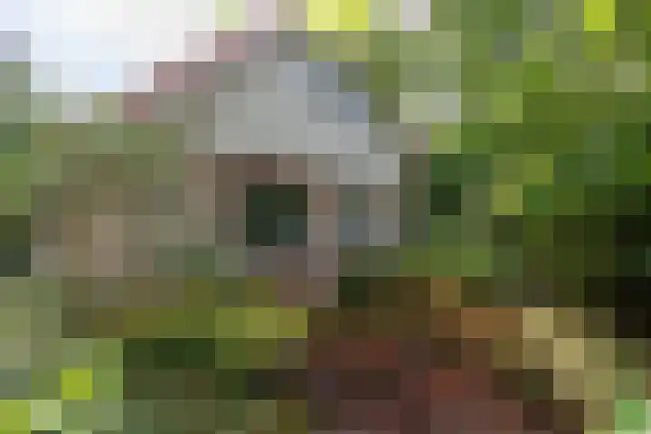Valkenlaan 34 Sibculo thumbnail 18
