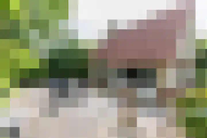 Valkenlaan 34 Sibculo thumbnail 19