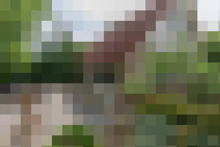 Valkenlaan 34 Sibculo thumbnail 20