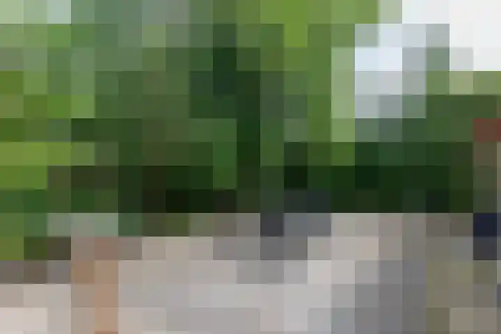 Valkenlaan 34 Sibculo thumbnail 21