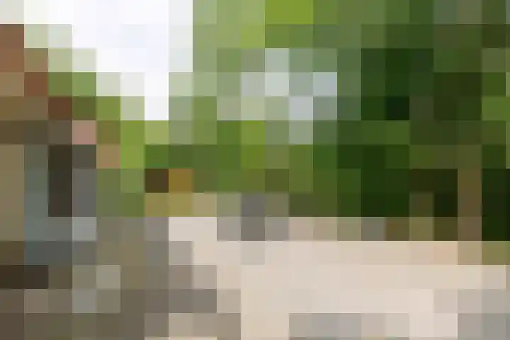 Valkenlaan 34 Sibculo thumbnail 22