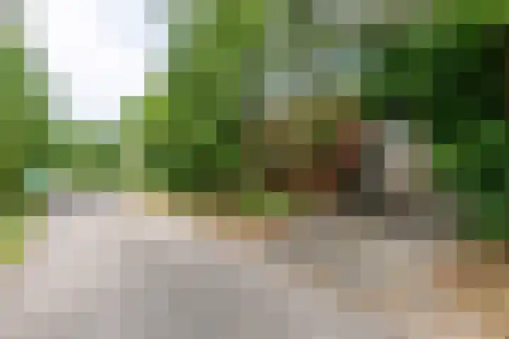 Valkenlaan 34 Sibculo thumbnail 23