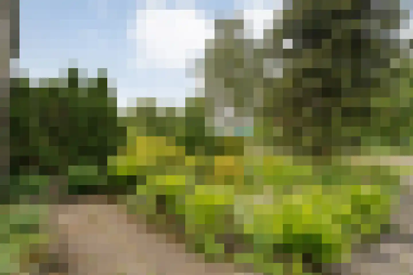 Valkenlaan 36 Hoogeveen thumbnail 11