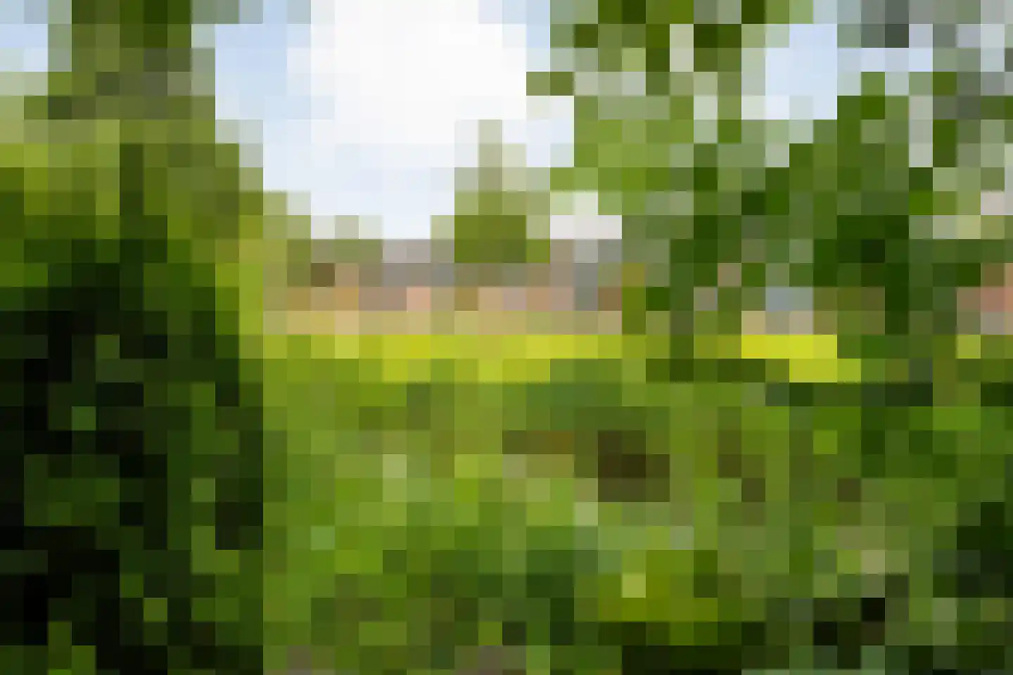 Valkenlaan 36 Hoogeveen thumbnail 34