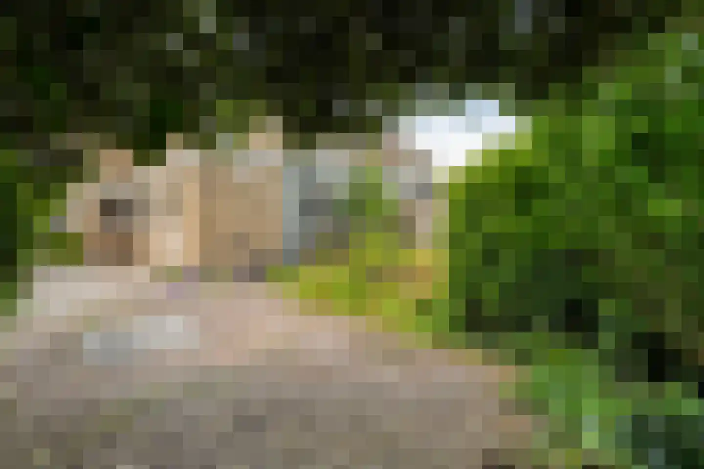 Valkenlaan 36 Hoogeveen thumbnail 35