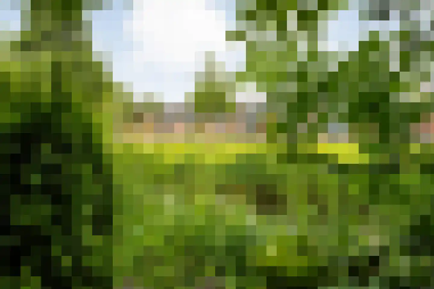 Valkenlaan 36 Hoogeveen thumbnail 36