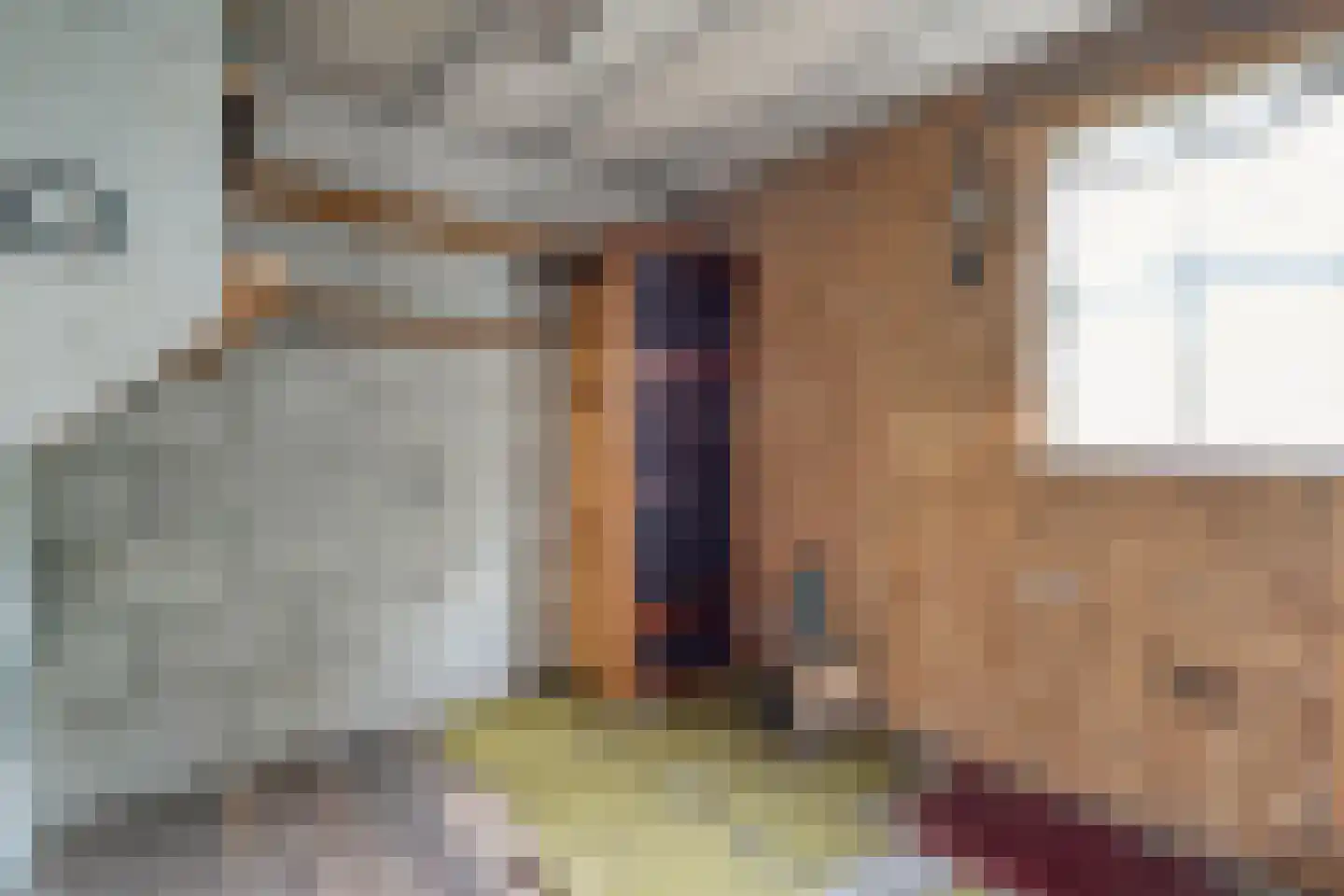 Valkenlaan 36 Hoogeveen thumbnail 38