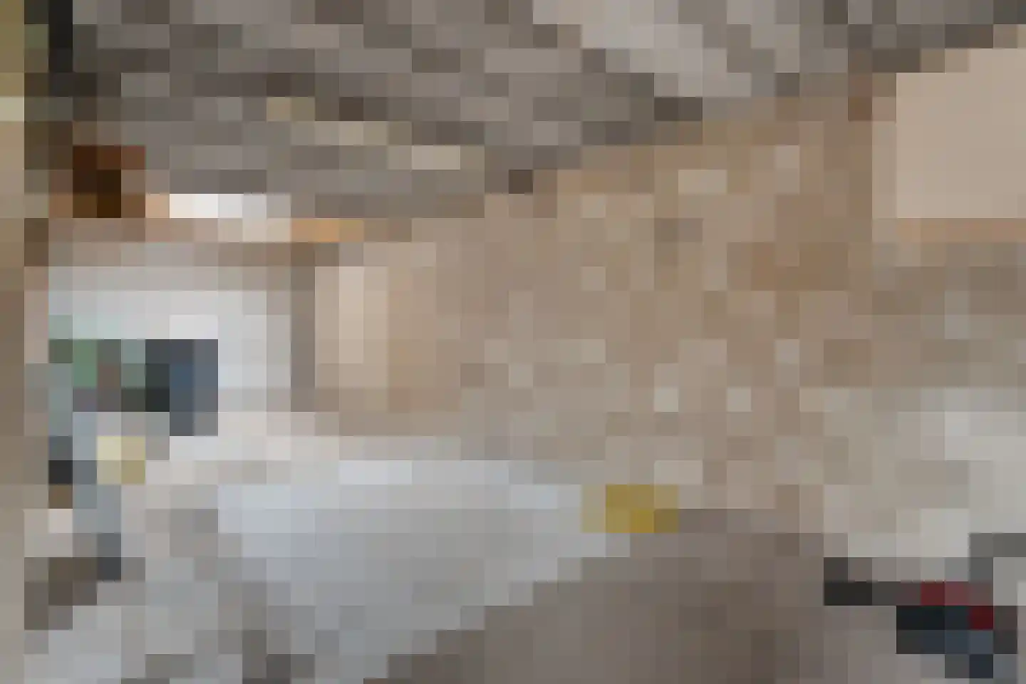 Valkenlaan 36 Hoogeveen thumbnail 40
