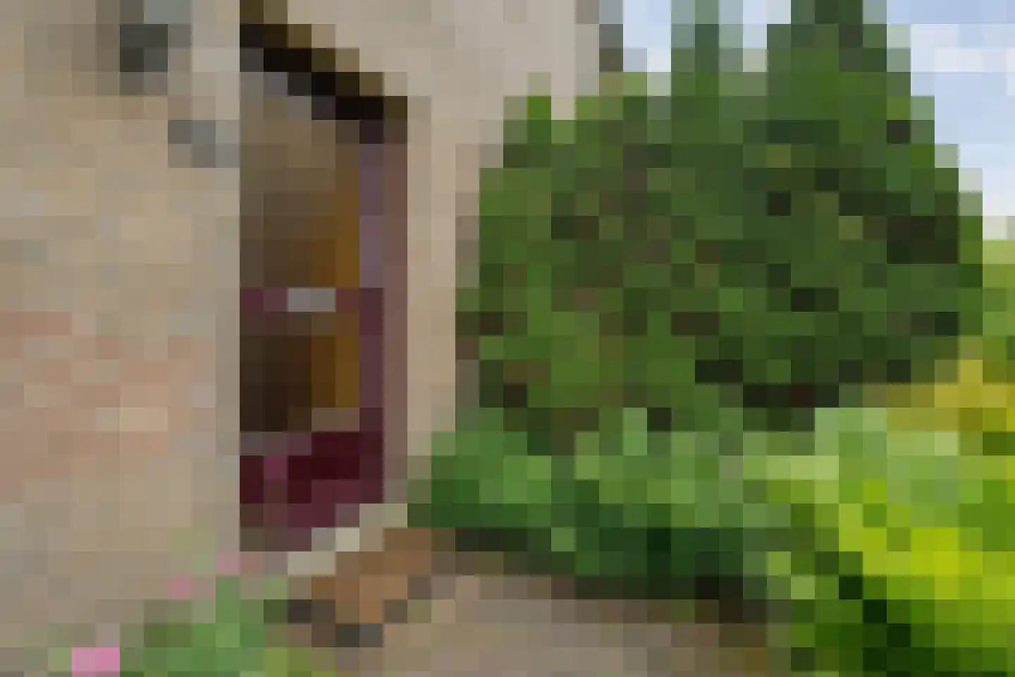 Valkenlaan 36 Hoogeveen thumbnail 41