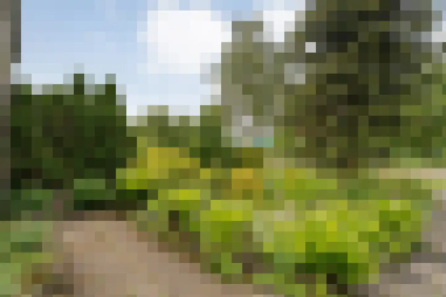 Valkenlaan 36 Hoogeveen thumbnail 42