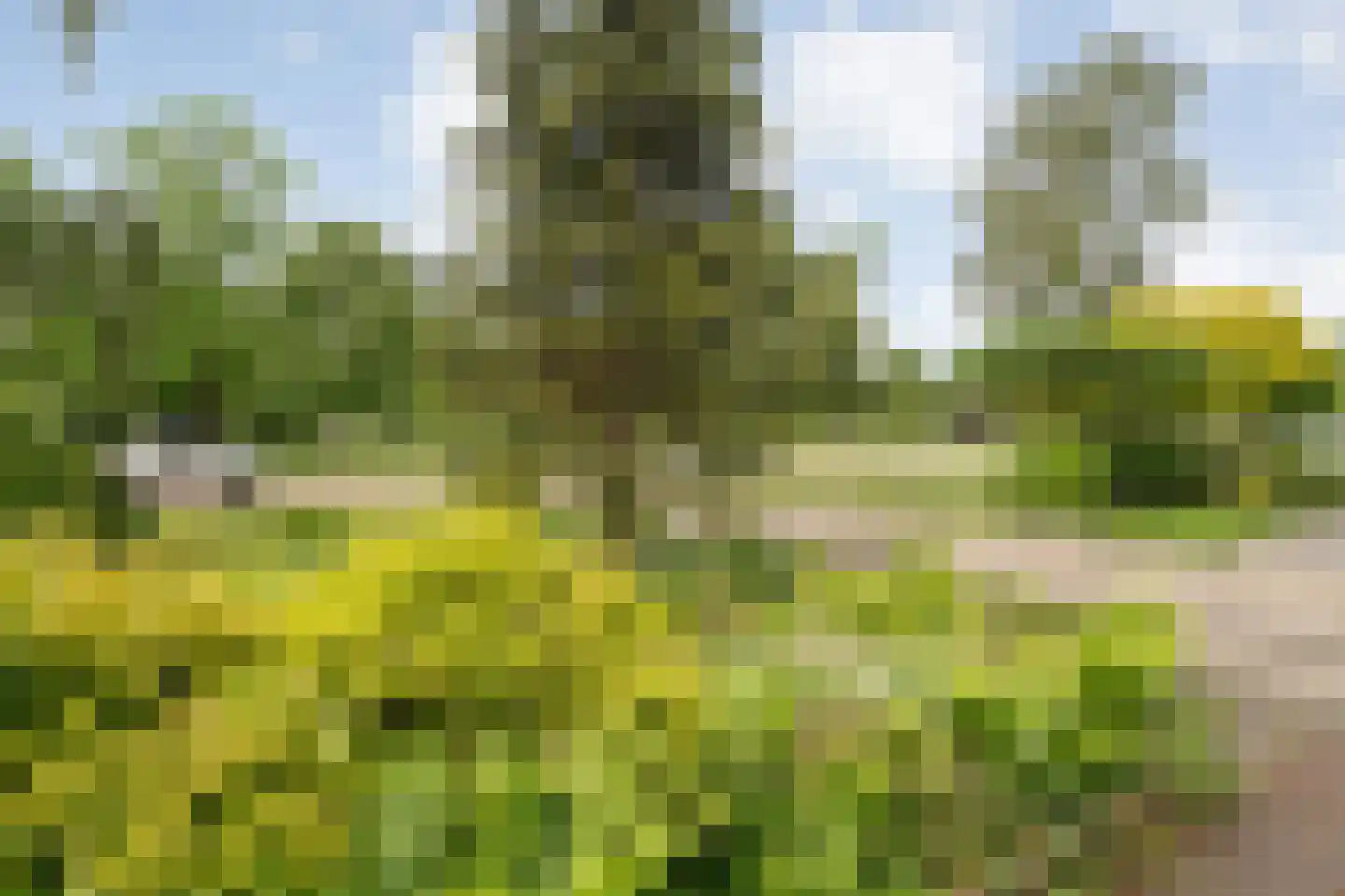 Valkenlaan 36 Hoogeveen thumbnail 44