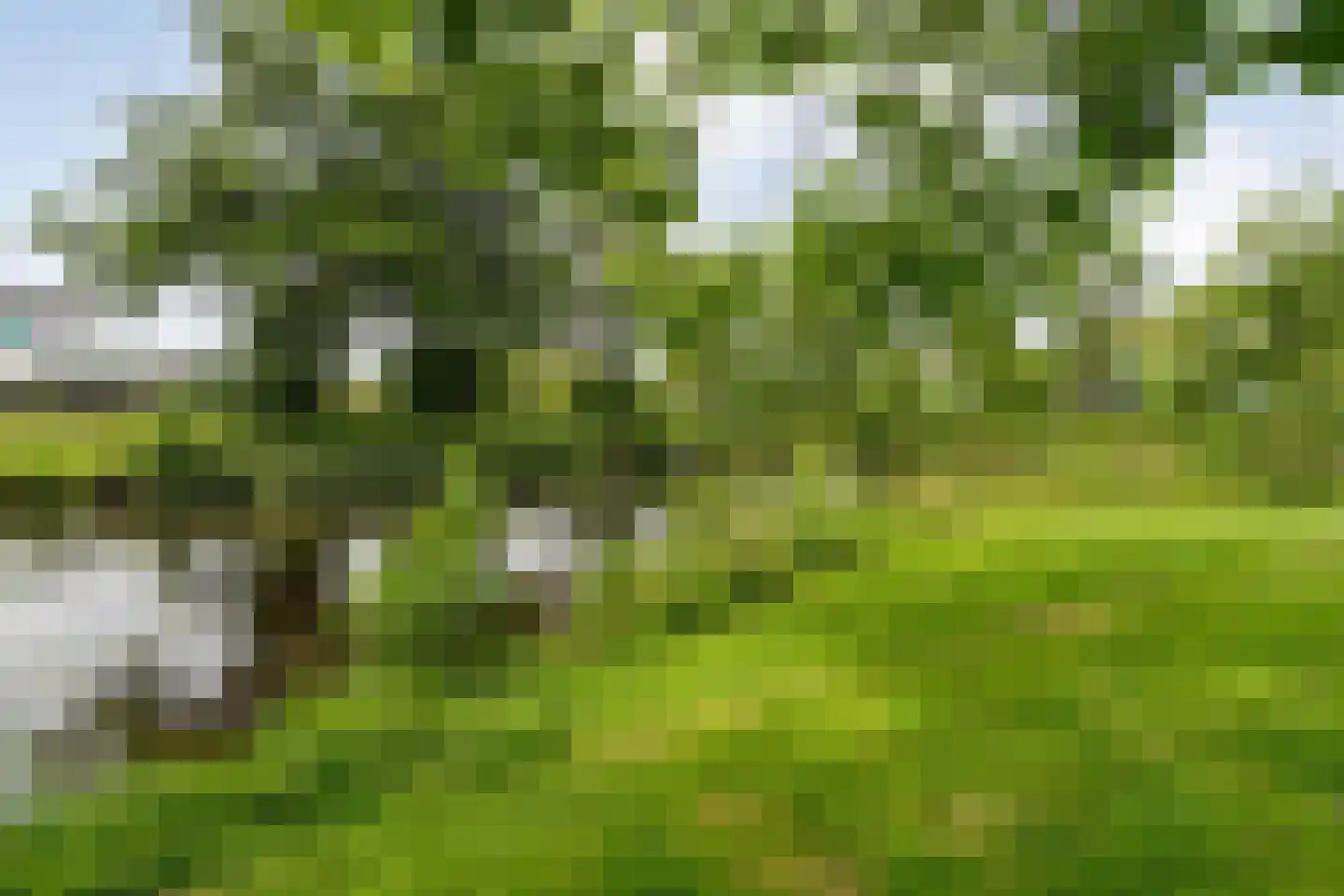 Valkenlaan 36 Hoogeveen thumbnail 54