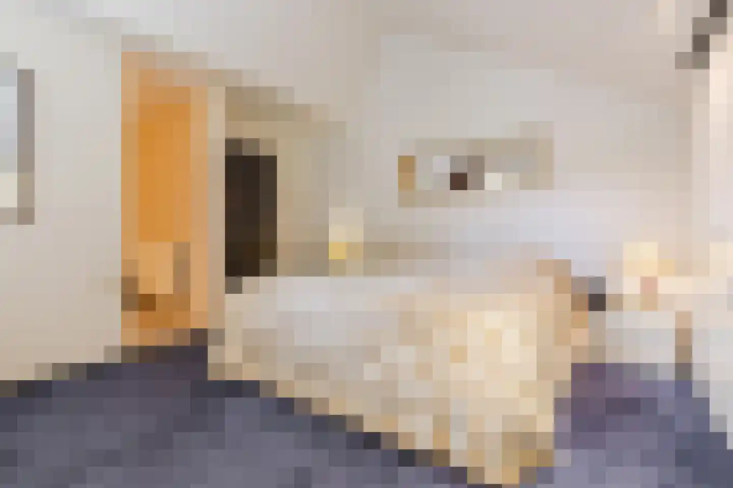 Valkenlaan 36 Maarheeze thumbnail 35
