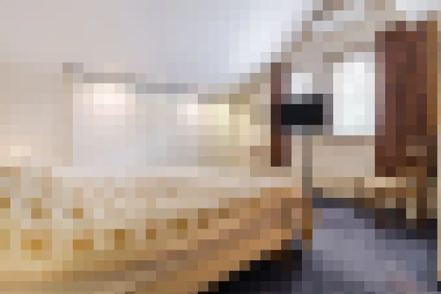 Valkenlaan 36 Maarheeze thumbnail 36