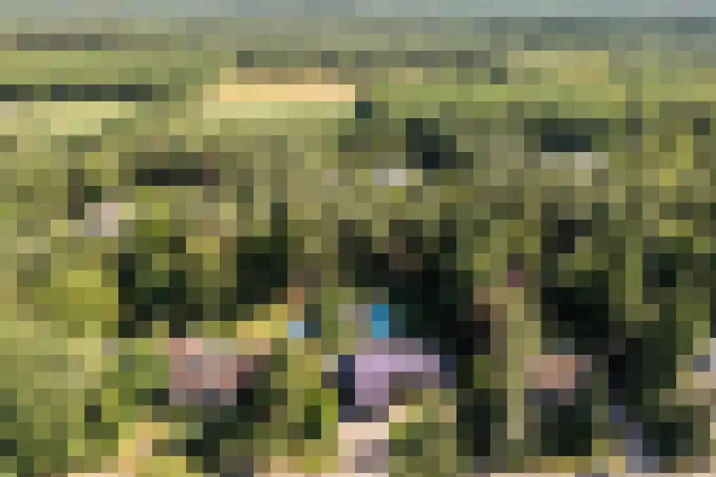 Valkenlaan 36 Maarheeze thumbnail 67