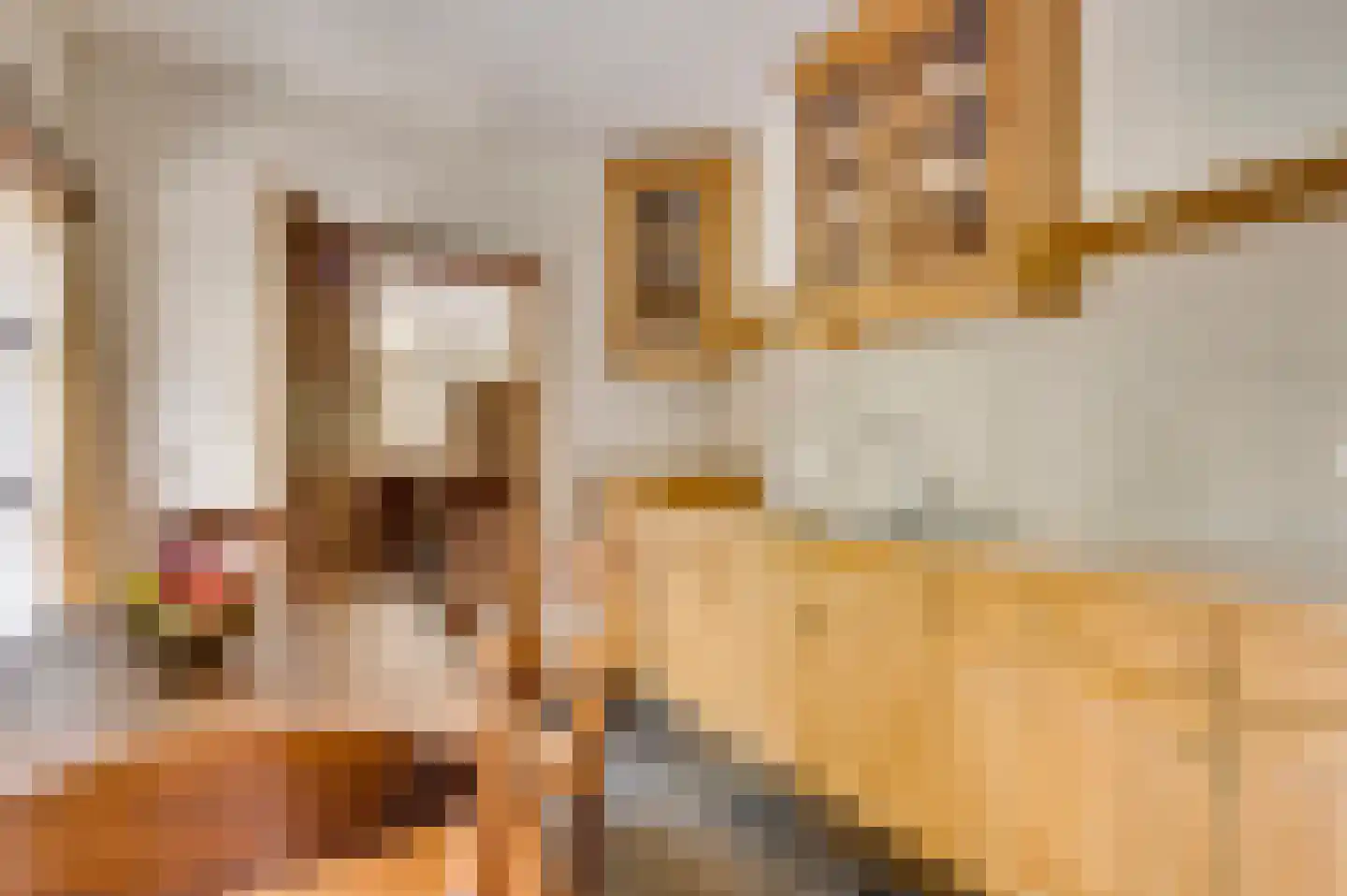 Valkenlaan 4 Maarheeze thumbnail 10