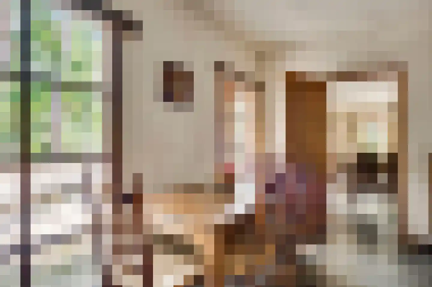 Valkenlaan 4 Maarheeze thumbnail 11